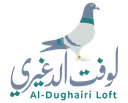 لوفت الدغيري