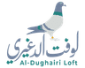لوفت الدغيري