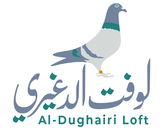 لوفت الدغيري